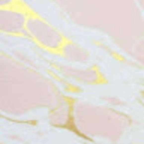 Meet your Posher, Skylah - Picture 1 of 1